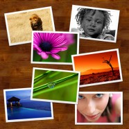 Cetak Foto Ekonomis dan Berkualitas Dengan Saiko Ink